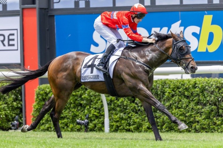 Thoroughbred racehorse
