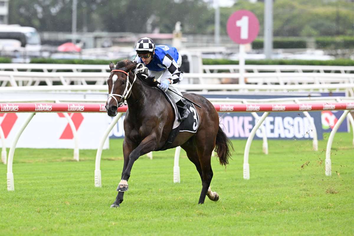 Thoroughbred racehorses